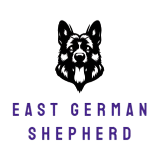 East German Shepherd